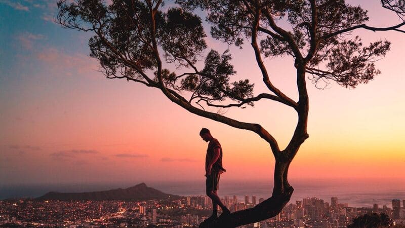 Portada desarrollo centrado en el ser humano, hombre en un árbol con una ciudad de fondo