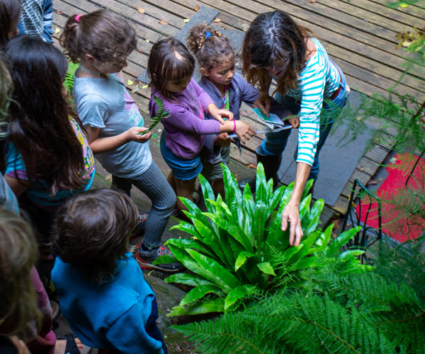 Niños y niñas observando una planta