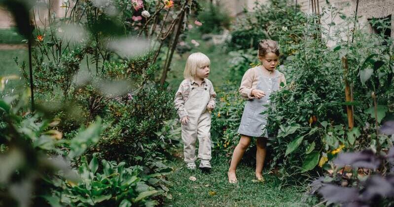 Dos niños recogiendo frutos de un huerto permacultural